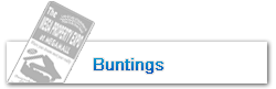 Buntings